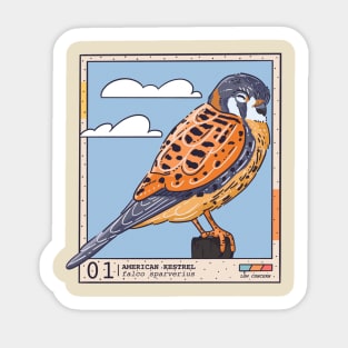 American Kestrel Sticker